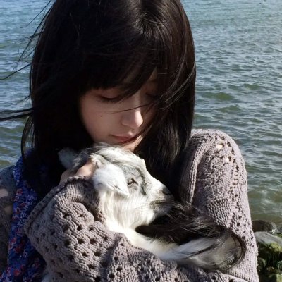 狂赌之渊第二季2019